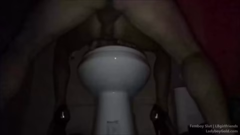 Ladyboygold – Femboy Slut – Seedy Bathroom ST