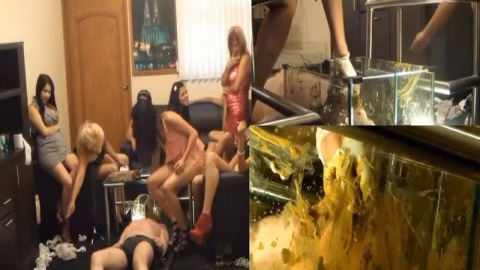Young-Dominas – Sorry Slave You Stay Until You Swallowed All The Shit Part 2 Hd 1080