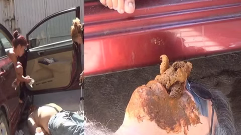 Young-Dominas – The Parked Car Poop Story Part 4 Hd 1080