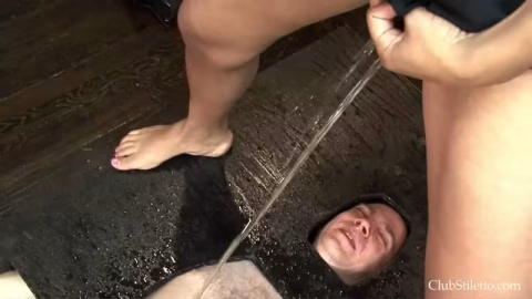 0684 Pissdom
