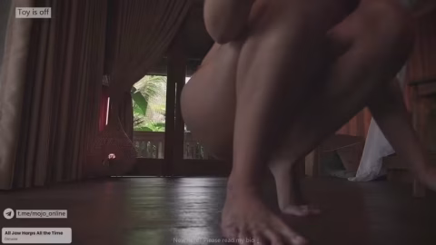 Chaturbate – ohmymojo – 2026-02-14-11-31-46