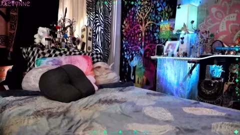 Chaturbate – xaevynne – 2026-02-16-16-3-9