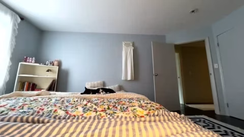 Chaturbate – transgirl007 – 2026-05-31-4-42-26