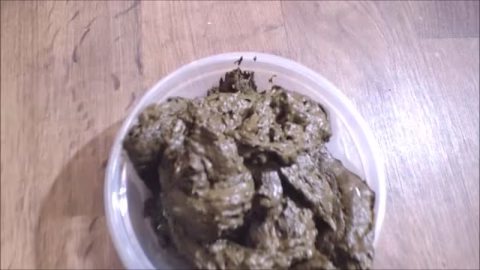 Pound Poo Delivery