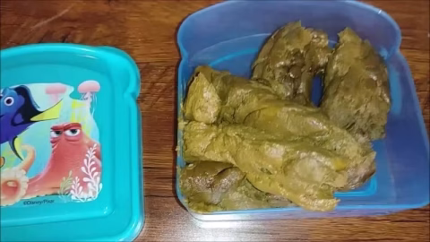 Shitting And Shipping My Huge Stinky Load