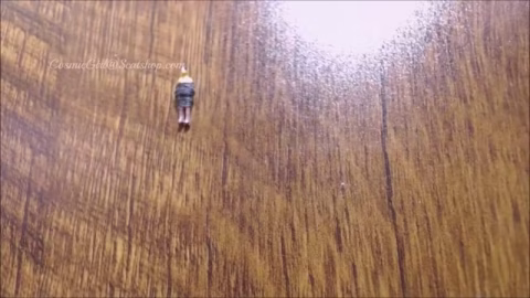 Forced To Live In Ass Of Giantess
