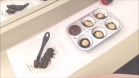 Making Reese S Peanut Butter Cups With Poop