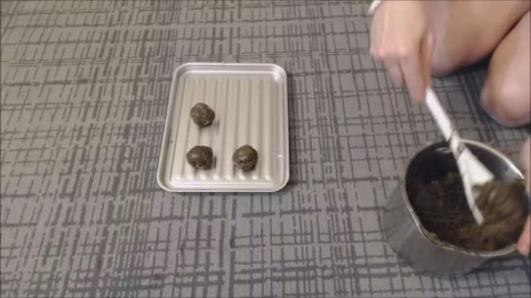 Poop Spit And Pee Cookies