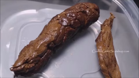 Breakfast Of Shit Logs For Toilet Slave