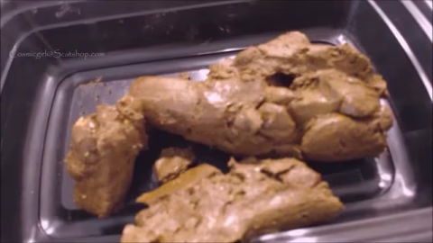 Giant Shit Loads For Toilet Slave