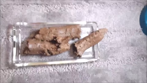 A Bite Of My Hard Log