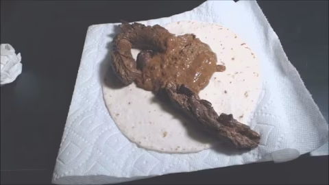 Desperation 1 Pound Poo Burrito