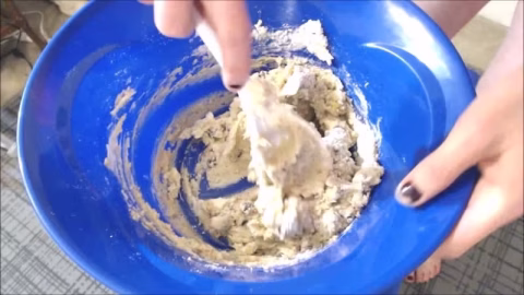 Making Cookies With Poop