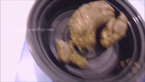 Week Of Shit Meals For Toilet Slave