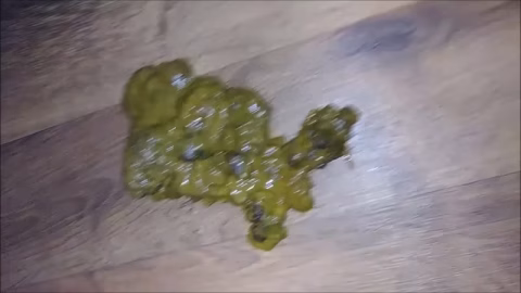 Rosebudprolapse Massive Shitting Compilation Part 23