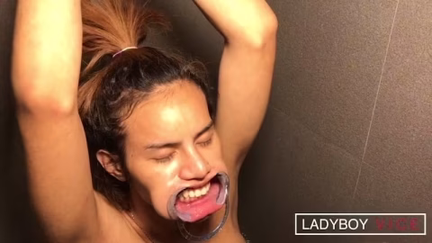 Ladyboygold – Piss Vomit and CIM Kink