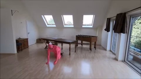 Cruel Reell – Pink Panther