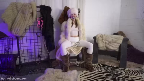 Borntobebound – The Cream Fur Kingdom And The Black Fur Kingdom Have Disliked Each Other For A Very Long Time In Re